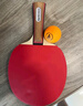 得力（deli）&安格耐特1星基础训练乒乓球拍7层高弹胶皮训练 横拍单拍 实拍图