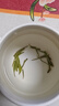 乐品乐茶特级毛尖绿茶2025新茶明前特级春茶嫩芽冷泡茶叶解暑250g送礼品袋 实拍图