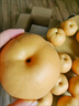 【今年新果】正宗新鲜丰水梨冰糖脆甜薄皮水果非秋月梨沐驰 丰水梨带箱2斤 实拍图