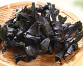 富昌 淡干海带头100g 厚海带根福建霞浦特产海产干货 火锅凉拌食材 实拍图