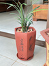 爵遇良品宜兴紫砂兰花盆带托盘君子兰盆中小型桌面家用绿萝蝴蝶兰阳台花盆 B款红色（配紫砂托） 图上标注 实拍图