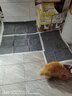 怡亲（yoken）宠物狗尿垫狗狗猫咪生理尿不湿尿布厕所用品竹炭尿片XL码-20片 实拍图