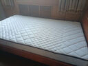 海马飞雪床垫席梦思天然椰棕乳胶独立弹簧床垫酒店厚薄双人家用榻榻米垫子 15cm厚偏硬款(环保棕+独立弹簧) 1.5x2米 实拍图