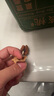 鲜级佳大凉山新鲜湿核桃去青皮嫩核桃老树薄纸皮核桃孕妇专用生核桃新货 3斤【去青皮】送夹子丨品质升级 实拍图