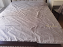 皇朝家私桑蚕丝被 空调被 可水洗夏凉被冰丝双人薄被子芯 灰200*230cm2斤 实拍图