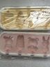 拜杰雪糕模具冰淇淋食品级硅胶儿童辅食冰棍冰糕冰棒冰激淋模具2件套 实拍图