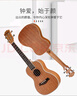 莫森（MOSEN）MUT800尤克里里乌克丽丽ukulele经典全桃花芯木迷你小吉他26英寸 实拍图