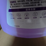 滴露（Dettol）衣物柔顺剂护理剂持久留香薰衣草 柔软剂衣物消毒液校服净防静电 实拍图
