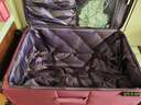 INTERNATIONAL TRAVELLER英国IT拉杆箱托运旅行箱万向轮超轻行李箱28英寸软布箱1191紫色 实拍图