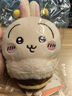 名创优品（MINISO）Chiikawa樱花季小蜜蜂公仔毛绒玩具玩偶抱枕生日礼物Usagi乌萨奇 实拍图