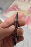 777眉夹拔毛神器小镊子拔胡子胡须拔毛钳修眉工具眉毛夹单个578银 实拍图