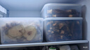 禧天龙冰箱保鲜盒食品级冰箱收纳盒密封盒蔬菜水果冷冻盒 7.3L*2+4.5L*2 实拍图