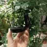 众果插卡MP3蓝牙耳机夹耳式自带内存气骨传导新款随身听超长续航无线降噪高音质金榜触控彩屏运动跑步 臻享黑丨ACS全景+全功能+1G内存 实拍图