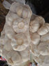 山东金乡蒜大蒜出口标准精选大蒜头蔬菜调料单果5cm 【专享】出口网兜925g5-5.5cm特大 实拍图
