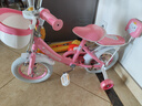 永久儿童自行车3-8岁小孩脚踏单车宝宝中大童女孩公主款童车 【升级-白胎】小猫粉+护具礼包 12寸 实拍图