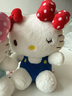 Hello Kitty三丽鸥毛绒玩具布偶猫咪玩偶布娃娃抱枕生日礼物女生 凯蒂猫公仔 实拍图
