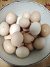 宛味宝散养谷物鲜鸡蛋 农场直供 单枚40±5g 15枚装 实拍图