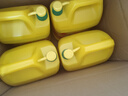 金鱼洗洁精大桶5kg*4瓶（整箱）食品用级洗涤灵餐具果蔬清洗剂 实拍图