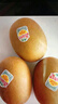 佳沛（zespri）新西兰阳光金奇异果 8个装 特大果单果重约122-146g 水果猕猴桃 实拍图