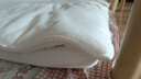 拉芙菲尔全棉A类抑菌可水洗床垫可折叠学生宿舍床垫 加厚软垫90*190cm 实拍图