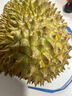 梦宛怡榴莲新鲜金枕榴莲【多地次日达】泰国一整个带壳金枕头水果整箱 净重2.5-3.5斤老树精选果丨人工精选 实拍图