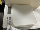 COOKSS电子秤小型高精度克数电子秤婴儿宝宝辅食工具厨房烘焙食物秤称重 实拍图