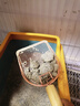 鑫安消石康猫尿结石尿结晶狗利尿通宠物尿道炎膀胱结石排石尿血利尿药 结石套餐：泌塞克+恩多诺+消石康 实拍图