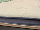 富安娜床垫 乳胶弹簧床垫 政府补贴软硬两用护脊椰棕硬床垫席梦思床垫子 E款软硬两用24cm-袋簧+乳胶+黄麻 1.5*1.9米 实拍图
