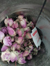 艺福堂花草茶 精品平阴原产胎玫瑰花茶120g 养生茶送母亲不熏硫搭菊花茶 实拍图