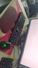 雷柏（Rapoo） V500PRO 有线背光机械键盘 104键全尺寸游戏电竞笔记本电脑多媒体办公吃鸡全键无冲键盘 黑轴 实拍图