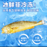 三都港【冰鲜】三去野驯黄花鱼净重1100g/2条 黄鱼 源头直发 实拍图