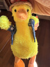 IGNATIUS加油鸭书包挂件公仔小黄鸭子毛绒玩具可爱网红布娃娃玩偶挂饰女孩 黄鸭 -金属扣（唯咔） 全长约18cm 实拍图