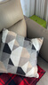 皮尔卡丹抱枕芯内胆内芯靠垫芯正方形抱枕心沙发客厅靠背靠枕芯 50x50cm 实拍图