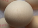 京鲜生鲜鸡蛋20枚/盒 健康轻食 营养健康 2斤/盒 源头直发  实拍图
