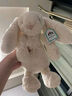 Jellycat害羞乳白色邦尼兔动物毛绒玩偶安抚玩偶娃娃新年生日礼物 害羞银色邦尼兔 Medium 实拍图