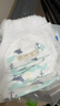 碧芭宝贝盛夏光年拉拉裤XXXXL24片(≥19kg)学步裤 夏季超薄 透气超大号 实拍图