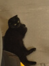 阿飞和巴弟猫粮E76益生菌全价冻干双拼猫粮成猫幼猫粮全阶段 8kg大包装 实拍图