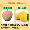 云南新鲜大澳芒 应季苹果芒热带甜心芒果水果整箱 澳芒8-9斤单果300g+ 实拍图