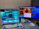 玩嘉 孤勇者无立柱matx主板电脑机箱360水冷海景房机箱纯白30/40系列超长显卡侧透主机箱 孤勇者白色升级版+6棱镜4pro风扇【ARGB 实拍图