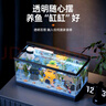 Barbarous Growth鱼缸水族箱客厅阳台家用中小型自循环懒人免换水生态塑料金鱼缸 大号黑色【造景氛围套餐】 实拍图