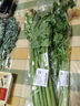  大芹菜约400g 实拍图