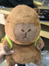 熊猫熊卡皮巴拉玩偶毛绒玩具公仔布娃娃女孩生日礼物女生抱睡枕水豚噜噜 实拍图
