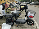 小鸟新新国标电动自行车国翼 48V铅酸电池真空轮胎通勤代步两轮电瓶车电动车 国翼-1 油黑【20AH】/205新款/无骑行脚踏 实拍图