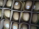 佳沛（zespri）新西兰  阳光金奇异果16粒礼盒经典果单果约 77-103g 水果 猕猴桃 实拍图