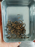乐品乐茶金骏眉红茶茶叶 特级正宗武夷山浓香型茶叶礼袋款中秋送礼共250g 实拍图