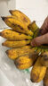 春福乐 广西小米蕉香蕉【源头直发】10水果整斤小香蕉粉蕉自然熟苹果蕉 精选5斤装【老农手挑】净4.5斤 实拍图