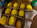 佳沛（zespri）新西兰 阳光金奇异果12粒礼盒特大果单果约122-146g 猕猴桃 水果 实拍图