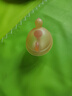 马博士 婴儿牙胶磨牙胶棒小蘑菇宝宝安抚玩具0-1岁防吃手牙咬胶3件套 实拍图