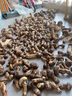 贝乐嘉（Beleca）吸管奶瓶大宝宝宽口径耐摔一岁以上3-6岁大容量断奶重力球奶瓶 【吸嘴款】绿色 260ml +吸嘴2个 实拍图