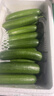 农大姐妹水果黄瓜 水果小黄瓜 新鲜荷兰水果黄瓜 应季蔬菜 水果小青瓜 5斤 实拍图